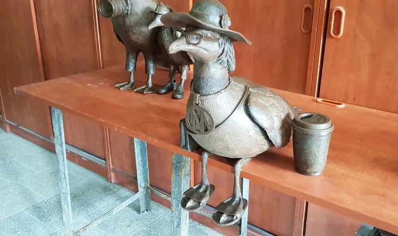 /Źródło: Artur Sempruch/ miastokolobrzeg.pl /