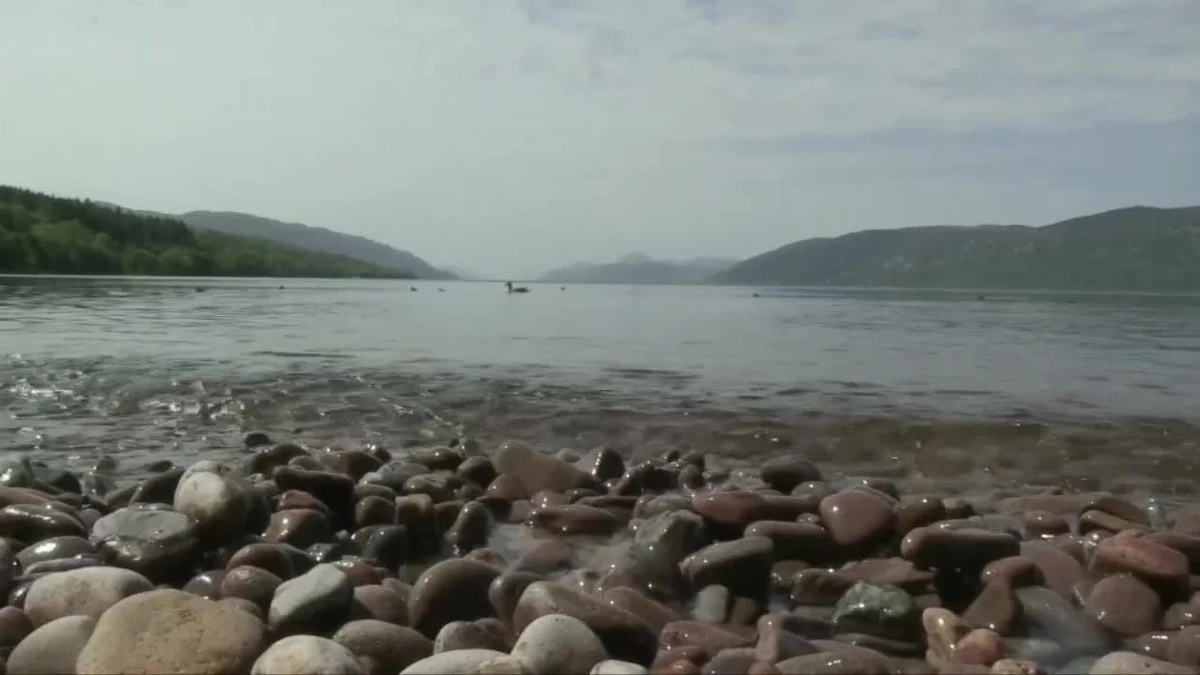 Poszukiwacze potwora z Loch Ness mogli przeżyć… potworny zawód. Nowozelandzcy naukowcy z Uniwersytetu Otago pobrali 250 próbek wody ze szkockiego jeziora, a następnie przebadali je na obecność sekwencji DNA gadów. Żadnych nie odnaleziono.