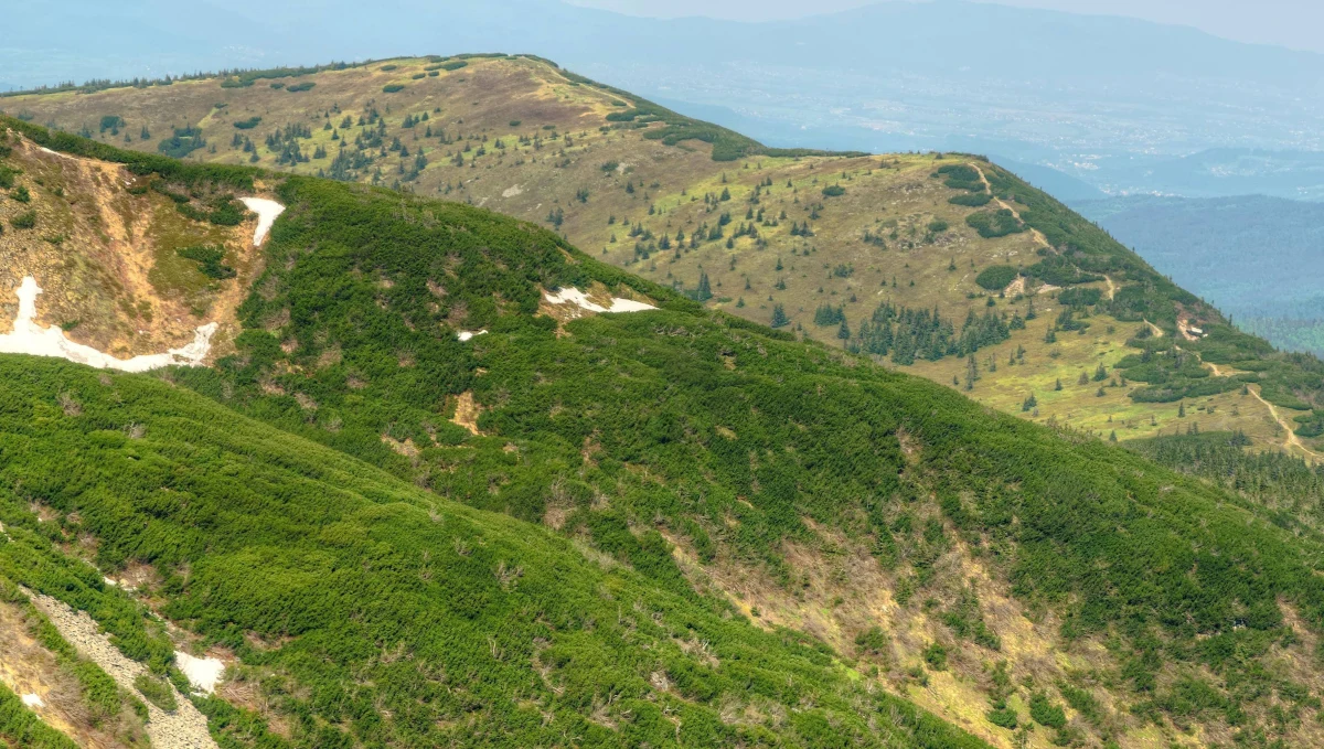 Ponad 150 akcji mieli w czasie tegorocznych wakacji ratownicy GOPR-u w Beskidach. Najczęściej, ponad 80 razy, trzeba było pomagać turystom w sierpniu. W sumie we wszystkich akcjach brało udział ponad 400 ratowników.