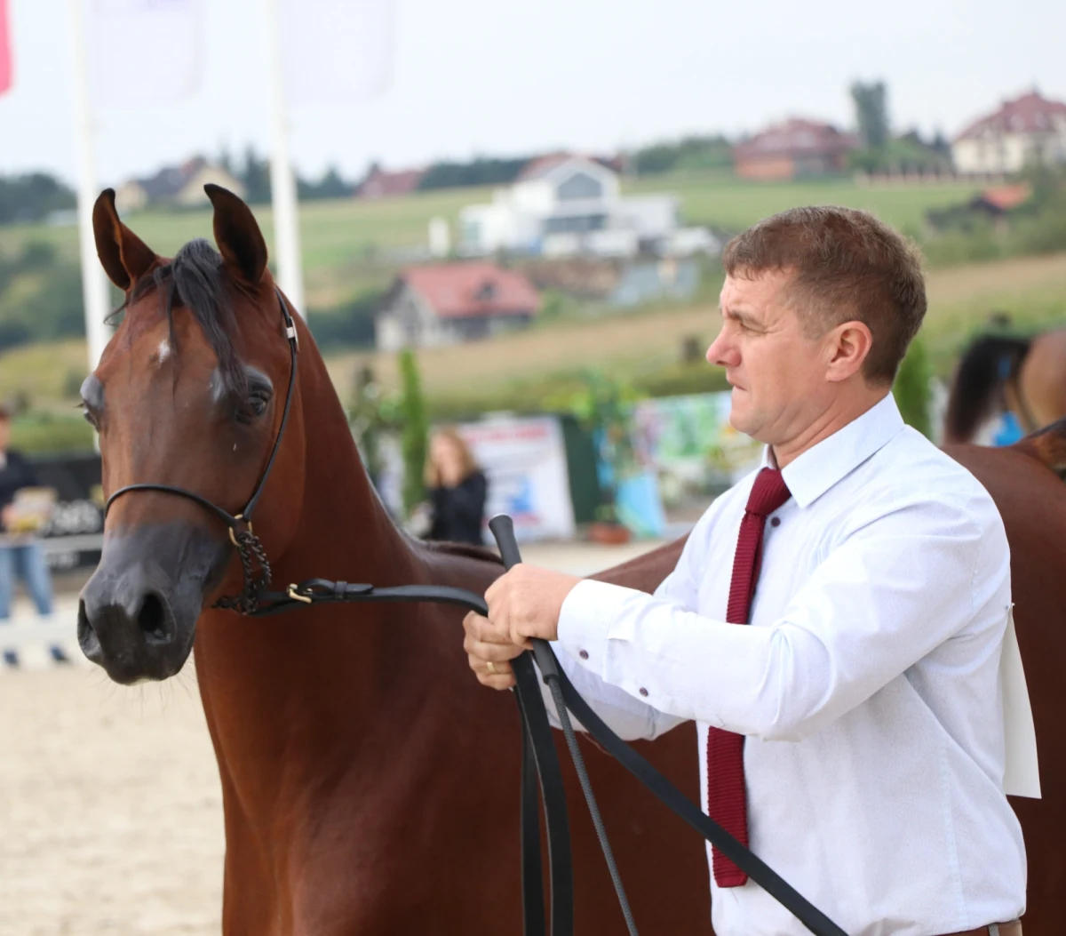 Gniady ogier Colorado Prince wygrał sponsorowaną przez RMF FM klasę ogierów rocznych podczas 4. Krakowskiego Pokazu Koni Arabskich w Michałowicach. Koń należący do Krzysztofa Falby uzyskał najwyższe noty spośród siedmiu koni, jakie zaprezentowały się na ringu w tej klasie. W sumie podczas dzisiejszych pokazów w Michałowicach zobaczyliśmy prawie 80 koni czystej krwi arabskiej. Jutro w Michałowicach czempionaty w poszczególnych klasach.