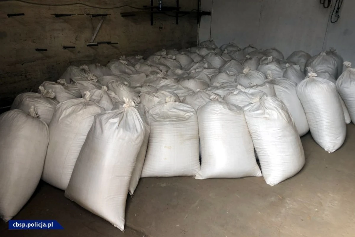 ​Funkcjonariusze CBŚP, Straży Granicznej  i KAS zlikwidowali trzy fabryki nielegalnych papierosów zlokalizowane na terenie trzech województw. Przejęto ponad 10 mln gotowych papierosów oraz prawie 10 ton tytoniu, zabezpieczono także specjalistyczne maszyny służące do produkcji i pakowania papierosów.