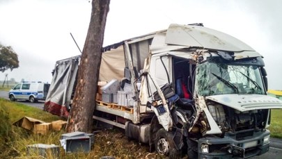 Dwa razy uderzył w drzewo, miał 3 promile alkoholu we krwi. Kierowca ciężarówki zatrzymany