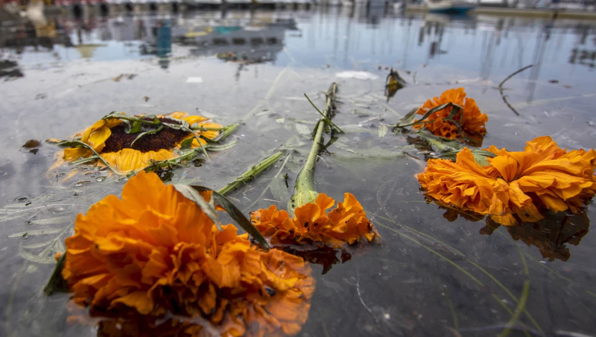 Nurkowie odnaleźli w środę ostatnie sześć ciał ofiar pożaru statku pasażerskiego u południowych wybrzeży Kalifornii, do którego doszło na początku września - poinformowała agencja AP. W katastrofie zginęły 34 osoby, pięć zdołało uratować się.