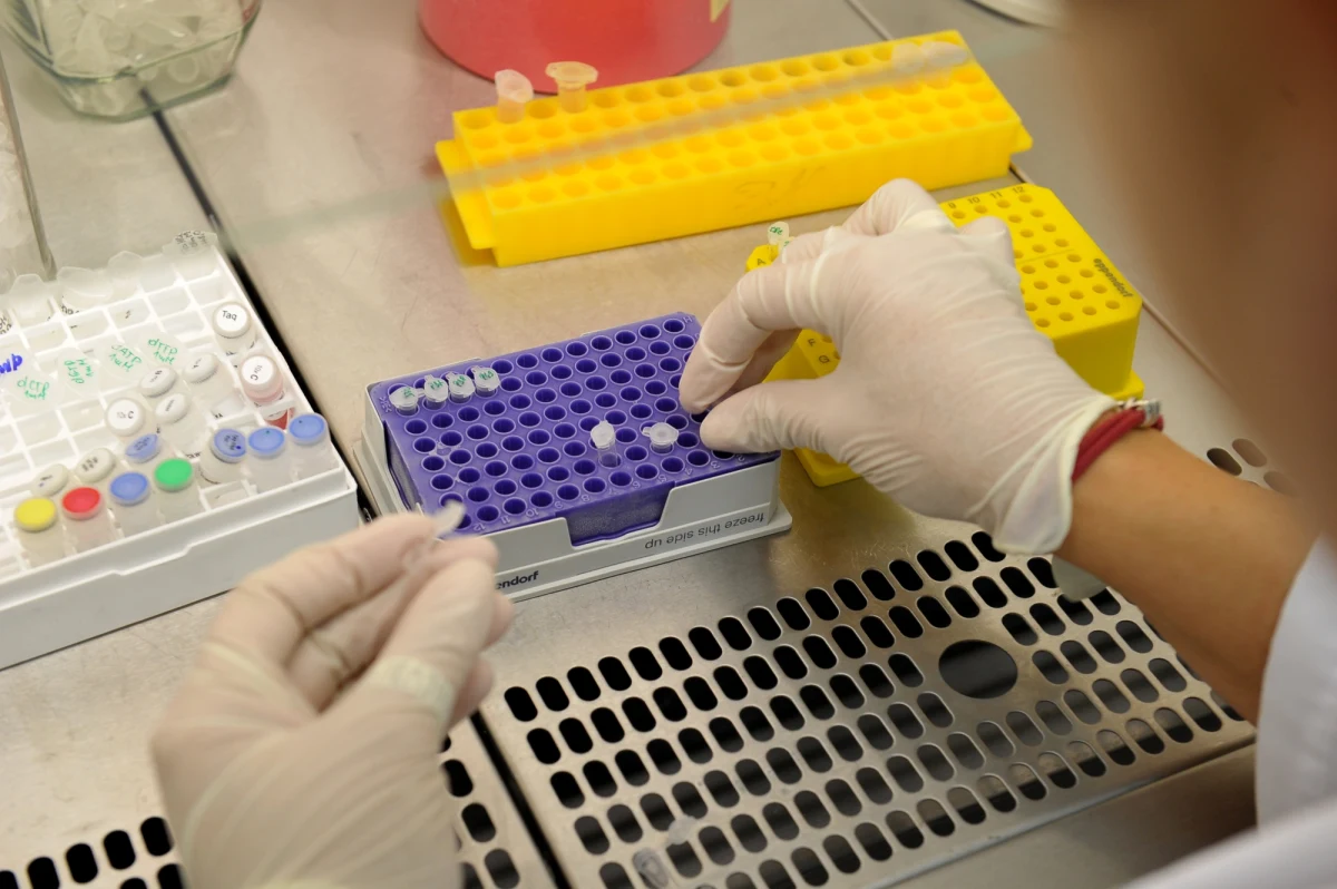 Nie ma powodów do niepokoju, jeśli chodzi o wodę w ujściu Wisły i na kąpieliskach w Gdańsku - przyznają inspektorzy Wojewódzkiej Stacji Sanitarno-Epidemiologicznej w Gdańsku i Wojewódzkiego Inspektoratu Ochrony Środowiska w Gdańsku. Najnowsze badania próbek wody nie wykazały, by woda była zanieczyszczona lub miała niespełniające norm parametry jakościowe. 