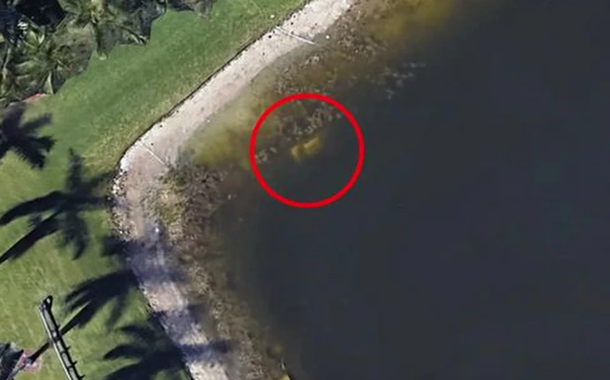 William Moldt zaginął bez śladu pewnego jesiennego wieczoru 1997 roku. Miał wtedy 40 lat. Teraz został odnaleziony dzięki… Google Earth.