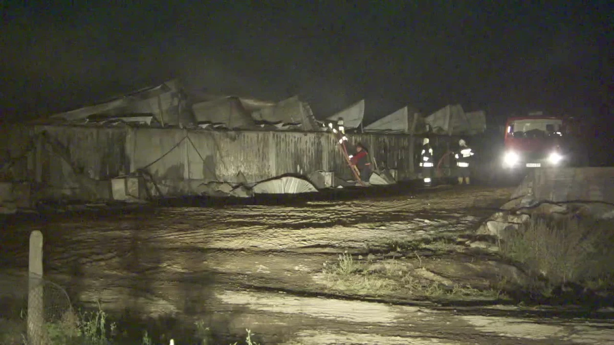 Nawet 3,5 miliona złotych - tyle mogą wynieść straty po nocnym pożarze chlewni w miejscowości Nowoberezowo koło Hajnówki na Podlasiu.