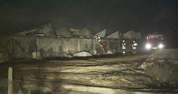 Nawet 3,5 miliona złotych - tyle mogą wynieść straty po nocnym pożarze chlewni w miejscowości Nowoberezowo koło Hajnówki na Podlasiu.