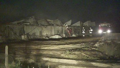 Nocny pożar chlewni na Podlasiu. Spłonęło ponad 2,5 tys. świń