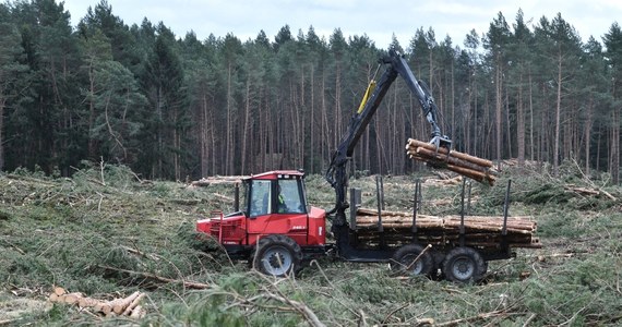 W ciągu kilku tygodni podpisana zostanie umowa z wykonawcą przekopu przez Mierzeję Wiślaną. Wykonawcą – jest konsorcjum spółek. Krajowa Izba Odwoławcza odrzuciła odwołania złożone przez tak zwane inne podmioty starające się o udział w inwestycji. 