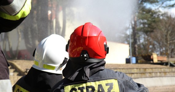 Strażacy gaszą pożar poddasza szkoły podstawowej w Świerznie niedaleko Kamienia Pomorskiego (Zachodniopomorskie). Według informacji straży, nikt nie został poszkodowany.