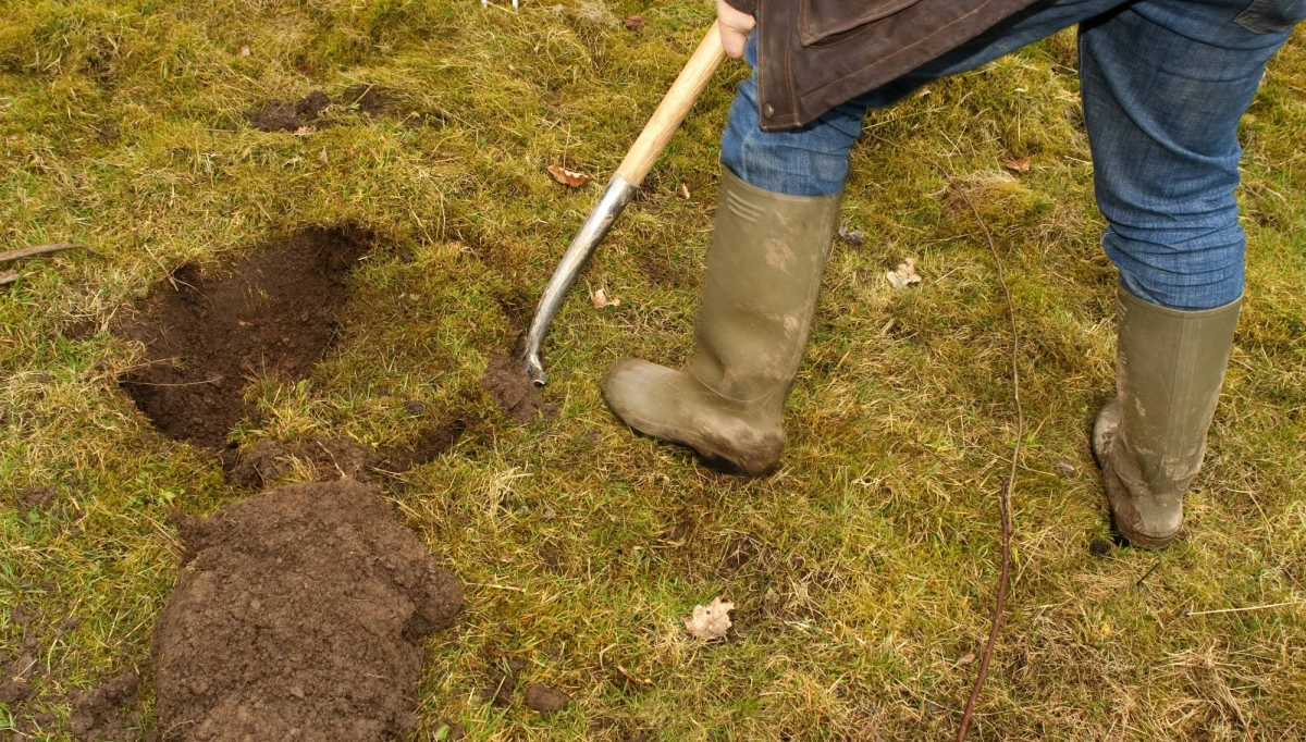 Syn zakopał zwłoki matki w ogrodzie i przez pięć lat pobierał jej emeryturę. Mężczyzna usłyszał zarzuty znieważenia zwłok, wyłudzenia świadczeń oraz niewezwania pomocy medycznej do chorej matki. 