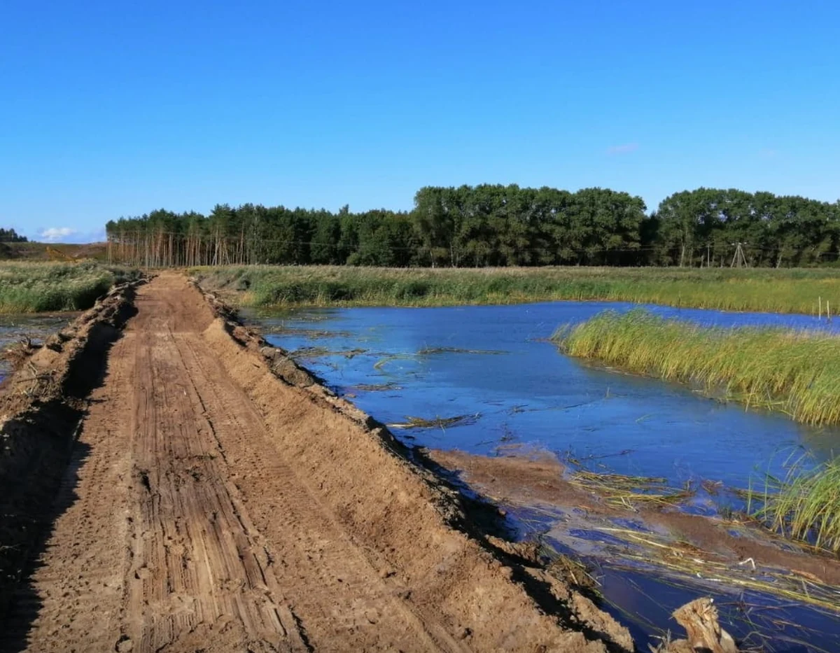Na terenie przekopu Mierzei Wiślanej pojawiły się koparki, spychacze i wywrotki - alarmują przedstawiciele Obozu dla Mierzei Wiślanej, którzy twierdzą, że jak na razie jakiekolwiek prace w tym miejscu są niezgodne z prawem - donosi portal Onet. Urzędnicy tłumaczą, że chodzi tylko o "wyjęcie trzcin/szuwaru" i że wszelkie działania prowadzone są na podstawie stosownych zgód i zezwoleń. 