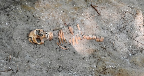Szczątki polskiego żołnierza odnaleziono podczas prac archeologicznych na Westerplatte w Gdańsku. Zachowała się czaszka wraz z kośćmi. To pierwsze od 1963 r. odkrycie na Westerplatte prochów polskiego obrońcy.