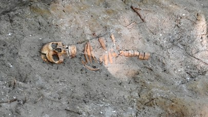 Na Westerplatte znaleziono szczątki jednego z polskich obrońców 