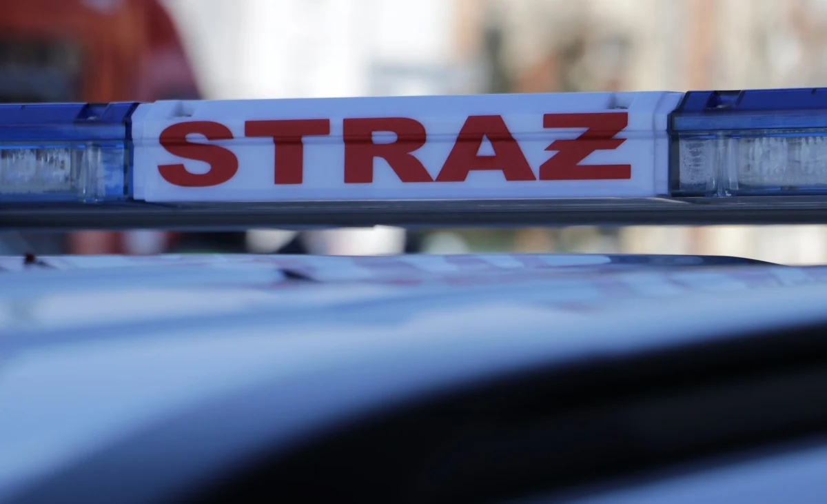 Tragedia w Jeleniej Górze. 64-letni mężczyzna został zagryziony przez psy na terenie jednej z firm. 