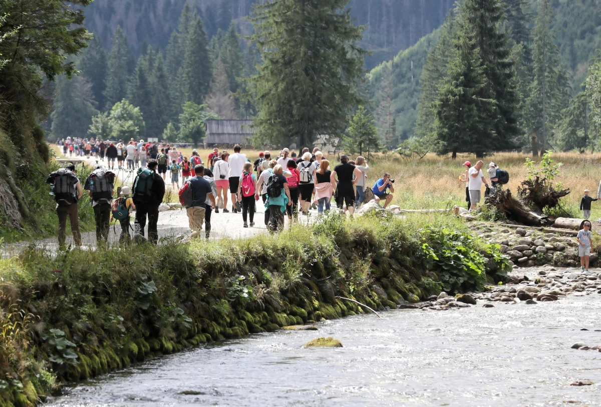 Dorożka przewożąca turystów Doliną Kościeliską zjechała z drogi i się przewróciła. W wyniku wypadku jedna kobieta została ranna. Wstępne badania wykazały, że woźnica był nietrzeźwy. 