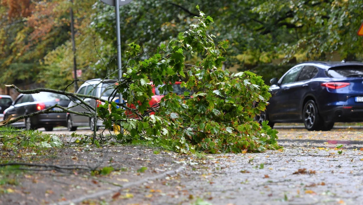 Jedna osoba nie żyje, aż osiemnaście zostało rannych. To najnowsze dane dotyczące skutków wichur, które wczoraj przeszły nad Polską.