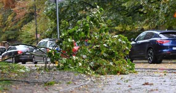 Jedna osoba nie żyje, aż osiemnaście zostało rannych. To najnowsze dane dotyczące skutków wichur, które wczoraj przeszły nad Polską.