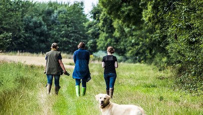 Labrador rzucił się na 9-latkę. Na jej twarzy założono 230 szwów