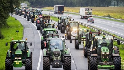 Kolumny traktorów i ogromne korki. Wielki protest rolników w Holandii