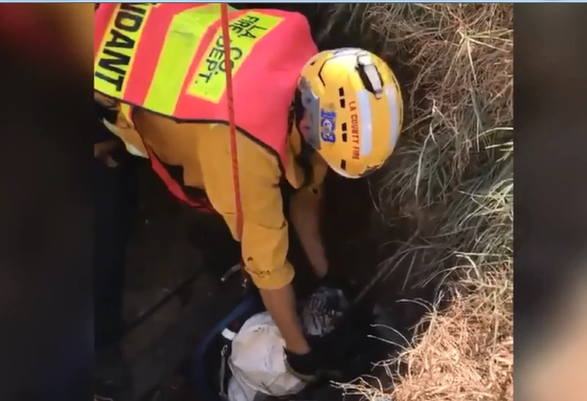 Strażacy uratowali psa o imieniu Pablo rasy Yorkshire terier, który wpadł do 30-metrowej studni w Malibu, w stanie Kalifornia. Akcja ratunkowa trwała 3 godziny.