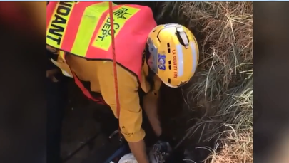 Pies wpadł do 30-metrowej studni. Uratowali go strażacy