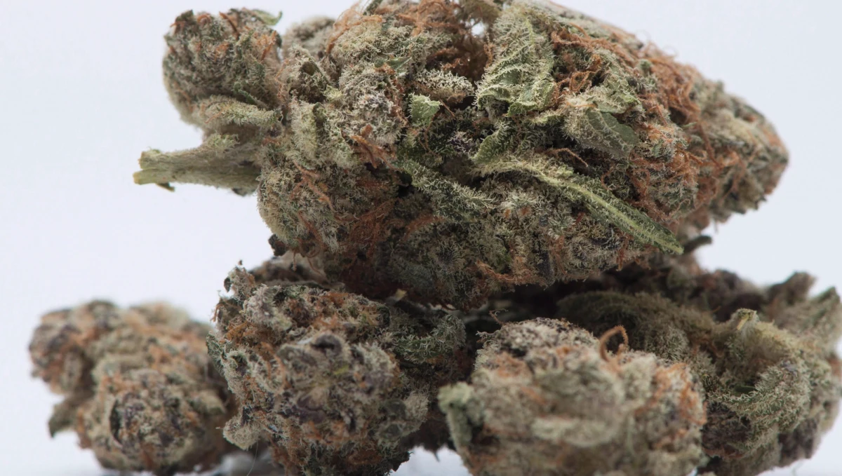 Zapas leczniczej marihuany jest na wyczerpaniu, a jedyny jej dostawca ma problem z uzyskaniem zgody na import kolejnej partii - informuje „Dziennik Gazeta Prawna”.