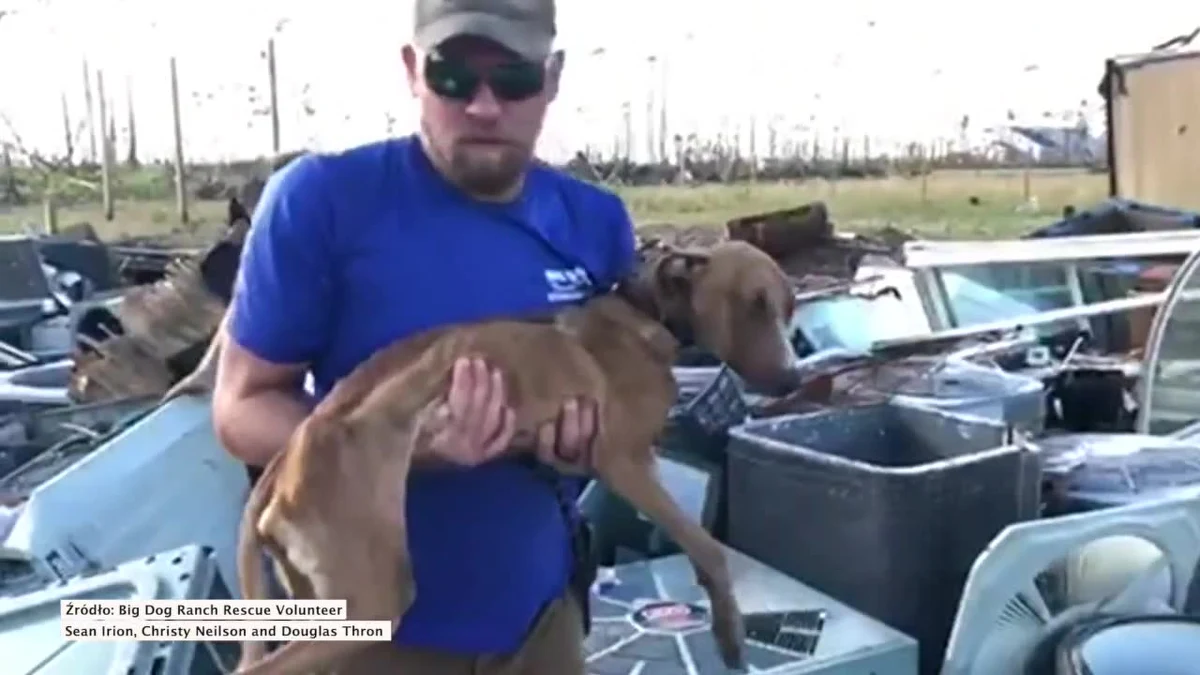 Na Bahamach odnaleziono psa, który przez ponad trzy tygodnie był uwięziony pod gruzami po przejściu huraganu Dorian.