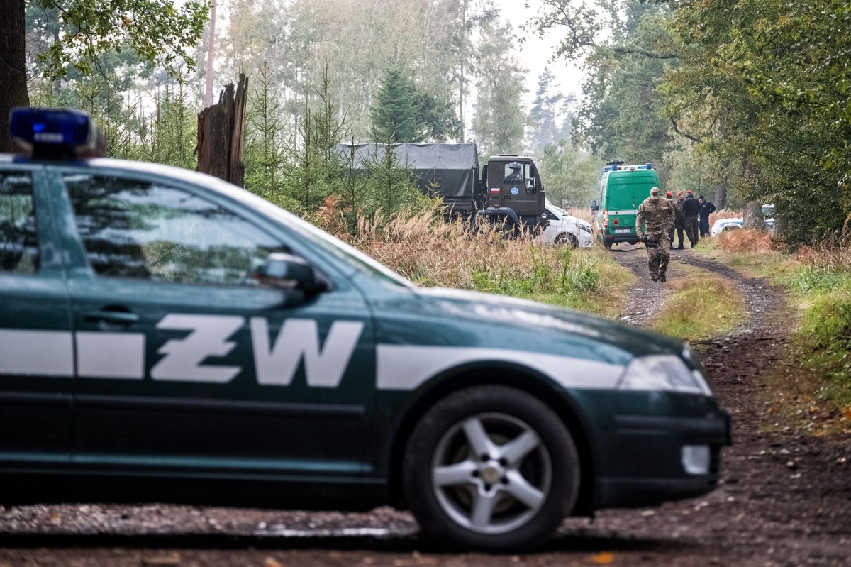 ​Ze względów bezpieczeństwa na razie nie można dotrzeć do ciał dwóch saperów, którzy zginęli w eksplozji niewybuchu w kompleksie leśnym w pobliżu Kuźni Raciborskiej (Śląskie). Na razie niemożliwe jest też przeprowadzenie oględzin. Teren musi wcześniej zostać oczyszczony z pocisków - przekazała katowicka prokuratura. Z uwagi na wagę wydarzenia, śledztwo w sprawie przejęła i poprowadzi Prokuratura Okręgowa w Warszawie.