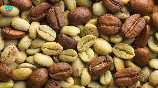 O zielonej kawie słyszeli na pewno wszyscy, którzy szukali naturalnych spalaczy tłuszczu. Czym ta kawa różni się od czarnej, oprócz tego, że rzeczywiście ma zielony kolor?