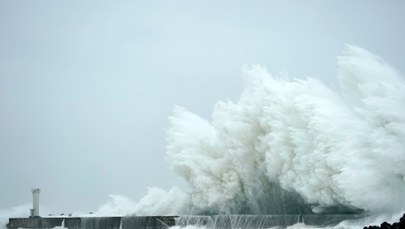 Tajfun Hagibis sieje spustoszenie. Prędkość wiatru przekracza 200 km/h