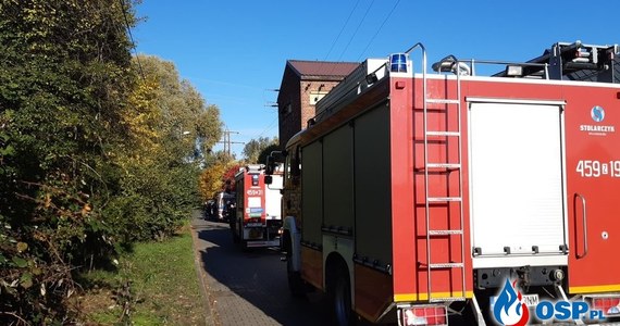 ​Prokuratura w Kartuzach oskarżyła 28-letniego członka Ochotniczej Straży Pożarnej o dwa podpalenia i o wszczęcie kilku fałszywych alarmów bombowych. Strażak brał udział w akcjach ewakuacyjnych i ratowniczych będących efektem jego działań.