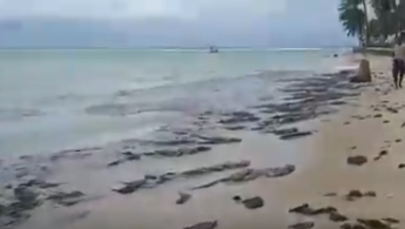 Brazylia: Plama zużytego oleju dotarła do plaży Carneiros