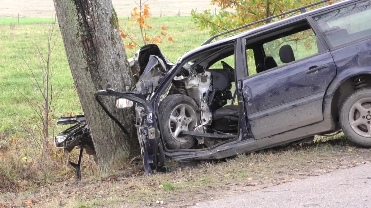 7-miesięczna dziewczynka zmarła w wypadku samochodowym w pobliżu miejscowości Jesionowo w województwie warmińsko-mazurskim. Auto, które prowadziła matka dziecka, uderzyło w drzewo.
