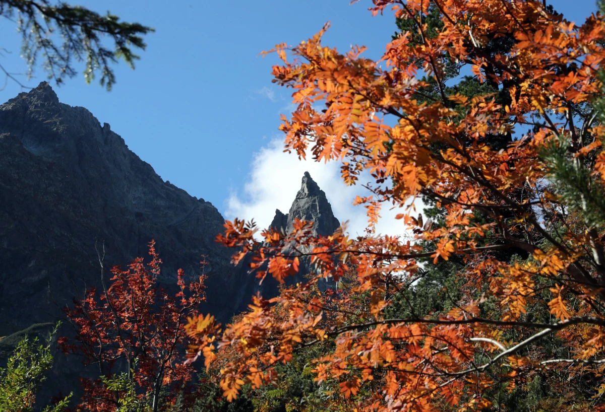 Od poniedziałku zamknięty będzie szlak w Tatrach od Wodogrzmotów Mickiewicza do Doliny Pięciu Stawów Polskich przez Dolinę Roztoki. Powodem jest remont. 