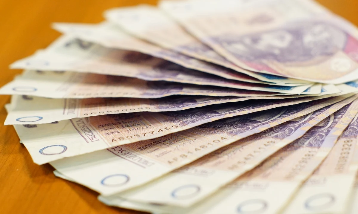 Liczba banknotów pozostających w obiegu wzrosła w trzecim kwartale tego roku do 2 mln 209,8 mln sztuk. Dekadę wcześniej w obiegu było ich 1 mld 94 mln sztuk - wynika z danych Narodowego Banku Polskiego (NBP) dotyczących struktury obiegu banknotów i monet.