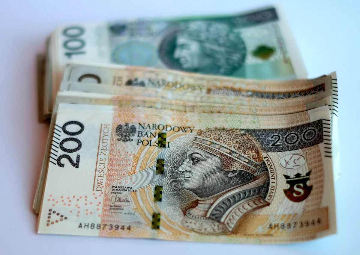 Kilkuset policjantów brało udział w akcji zatrzymania członków grupy przestępczej wyłudzającej kredyty i pożyczki bankowe.  Zatrzymano 12 osób. To mieszkańcy województw: małopolskiego, lubuskiego, mazowieckiego oraz dolnośląskiego. 
