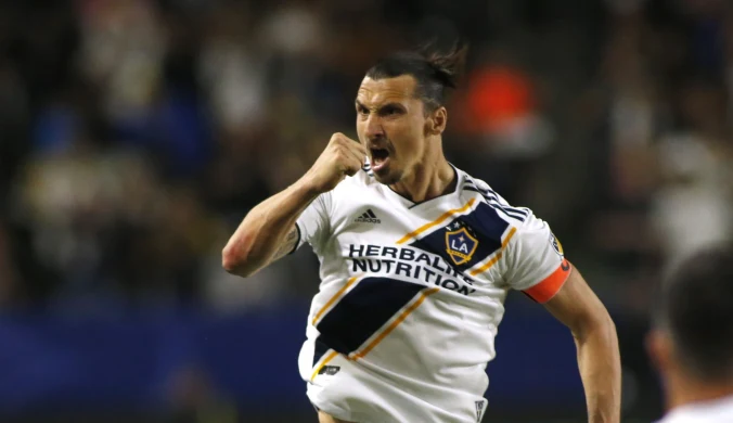 Zlatan Ibrahimović może zostać piłkarzem Bologny