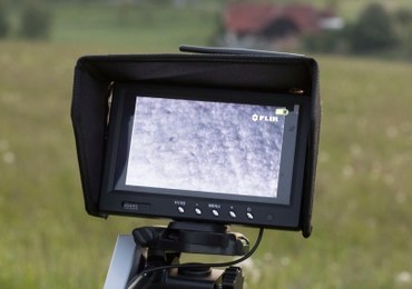 Była zaginiona przez blisko rok. Znaleziono ją dzięki filmom pornograficznym