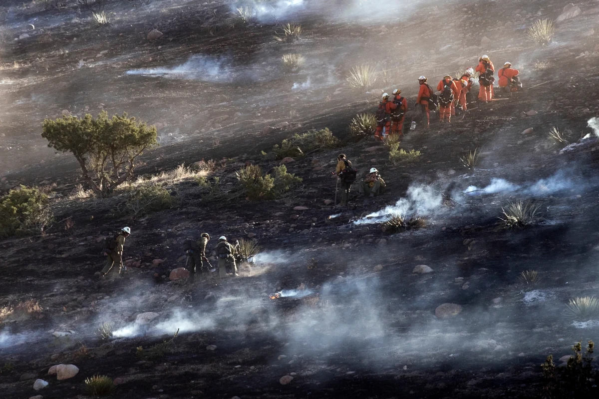 Strażacy nadal walczą z pożarami w Kalifornii. Miliony Kalifornijczyków borykają się z utratą zasilania. Pacific Gas & Electric (PG&E – firma odpowiedzialna za dostarczanie zasilania) poinformowała, że być może będzie musiał wyłączyć zasilanie w 36 hrabstwach w związku z prognozami „historycznie silnego wiatru”. Wiatr, który jest spodziewany w Kalifornii, może nie tylko zniszczyć wiele obiektów, ale także przyczynić się do rozprzestrzeniania pożarów. 