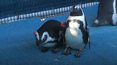 DW Premium News: Zagłada pingwinów nieunikniona?