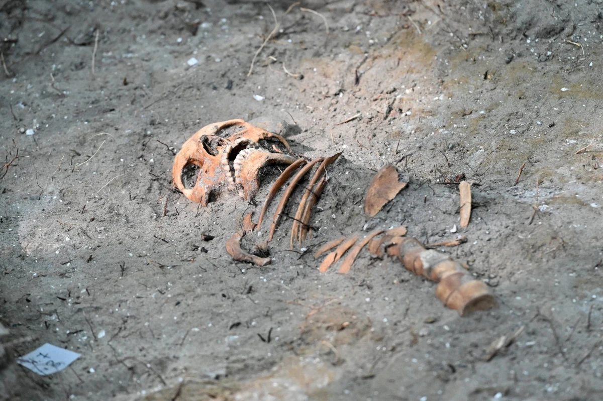 Archeolodzy prowadzący badania na terenie gdańskiego Westerplatte znaleźli kolejne ludzkie szczątki. W sumie w trakcie prac natrafiono na osiem kompletnych bądź zachowanych częściowo szkieletów. Przy wielu z nich odkryto przedmioty wskazujące na polskich żołnierzy.