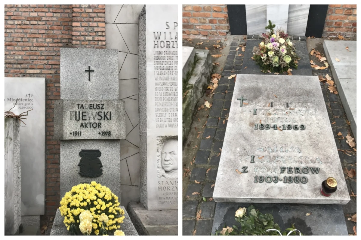 Jest przełom w ratowaniu warszawskiego Cmentarza Powązkowskiego przed złodziejami dewastującymi groby! Już w przyszłym tygodniu, zaraz po Wszystkich Świętych na cmentarzu zacznie się wybieranie miejsc do zainstalowania wielu kamer miejskiego monitoringu - dowiedzieli się dziennikarze RMF FM.