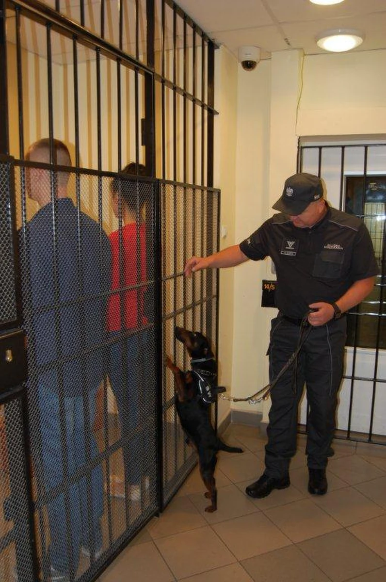 Matkę i konkubinę jednego z osadzonych w areszcie śledczym w Piotrkowie Trybunalskim zatrzymali funkcjonariusze jednostki penitencjarnej. Kobiety próbowały przemycić dla mężczyzny amfetaminę i dopalacze, ale środki odurzające wyczuł wyszkolony do tego celu pies.