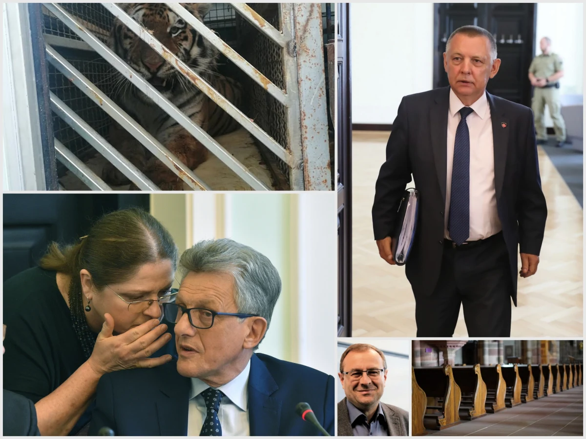 Ryszard Terlecki przekazał informację o kandydatach PiS-u na sędziów do TK. Są nimi: Krystyna Pawłowicz, Elżbieta Chojna-Duch i Stanisław Piotrowicz. Nominacje wzbudziły kontrowersje, wiele osób nie szczędziło gorzkich słów. Prof. Antoni Dudek w Popołudniowej rozmowie w RMF FM określił te nominacje jako "pewną formę prowokacji" ze strony Jarosława Kaczyńskiego. Nie kończą się problemy prezesa NIK. Reporterzy śledczy RMF FM odkryli dla Was kolejne kontrowersje wokół majątku szefa Najwyższej Izby Kontroli. Poniedziałek po długim weekendzie obfitował nie tylko w informacje polityczne. Jerzy Brzęczek ogłosił powołania na najbliższe mecze z Izraelem i Słowenią. Odbędą się one w ramach eliminacji do mistrzostw Europy. O tych i innych najważniejszych wydarzeniach przeczytacie w specjalnym Podsumowaniu Dnia RMF FM.