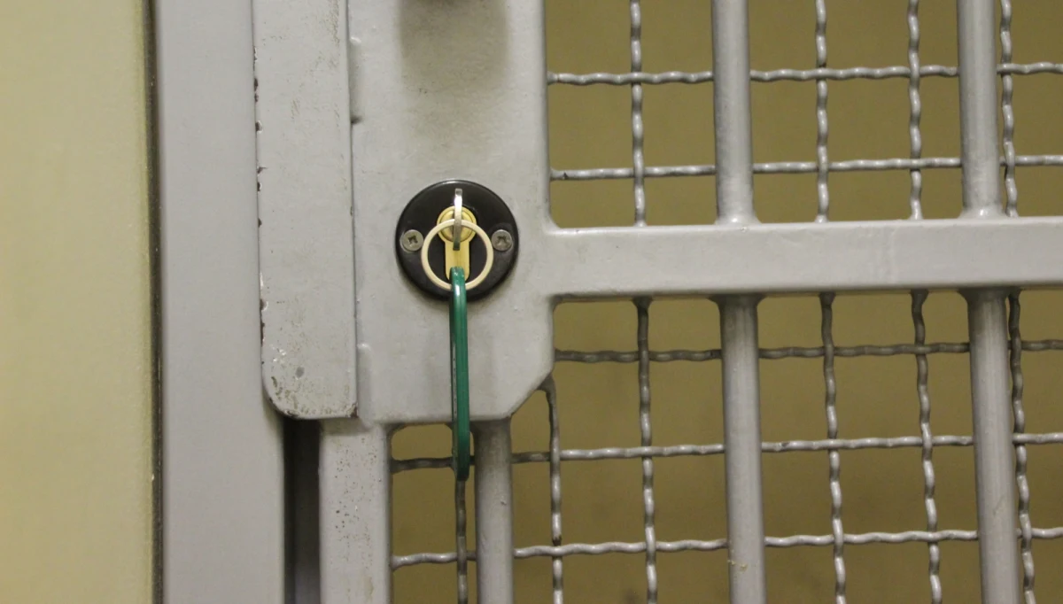 ​"Nie pierwszy raz dał o sobie znać układ gdański" - tak o swoim zatrzymaniu mówi w rozmowie z Onetem były policjant Jarosław "Majami" Pieczonka. Funkcjonariusz na początku listopada spędził dwie doby za kratkami.