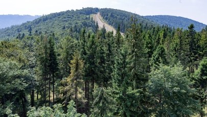 67-latka zabłądziła w Beskidach. Pomogli jej ratownicy GOPR