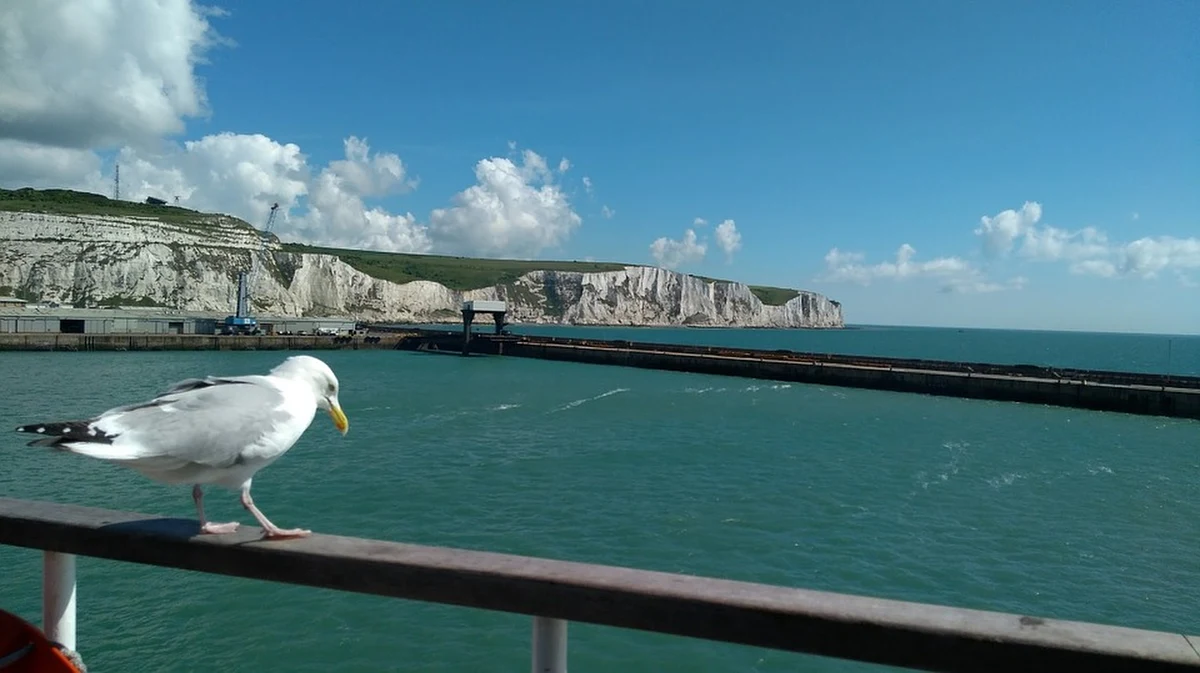 Każde życie jest cenne. Dał tego dowód kapitan brytyjskiego promu płynącego przez kanał La Manche, wykonując śmiały manewr dla ratowania człowieka. 