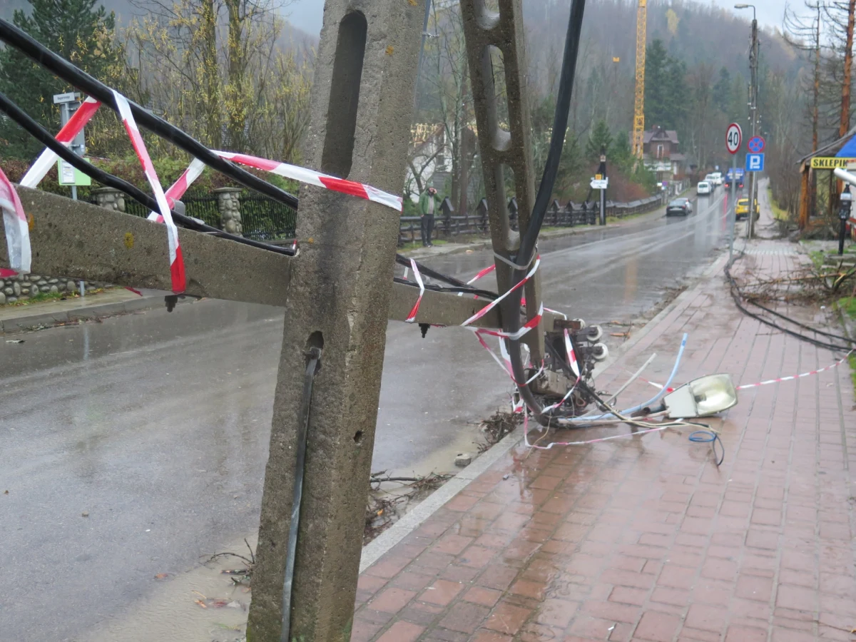 Blisko 50 razy interweniowali zakopiańscy strażacy w związku z wichurą, która rozszalała się w nocy na Podhalu. Halny uszkodził dwa dachy na budynkach w Zębie i Nowym Bystrym, powalił także dziesiątki drzew.