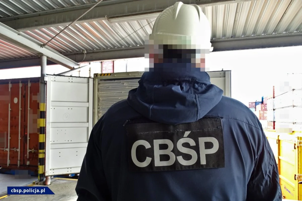 CBŚP w Płocku przeszukała teren ogródków działkowych, gdzie funkcjonariusze znaleźli substancje, które zostaną teraz poddane analizie. Wcześniej policjanci na ulicy Kossobudzkiego natrafiono na substancje do produkcji materiałów wybuchowych oraz już gotowe materiały wybuchowe.